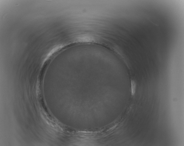 X0000077350579200610271830