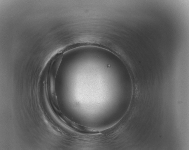 X0000077350580200610271830