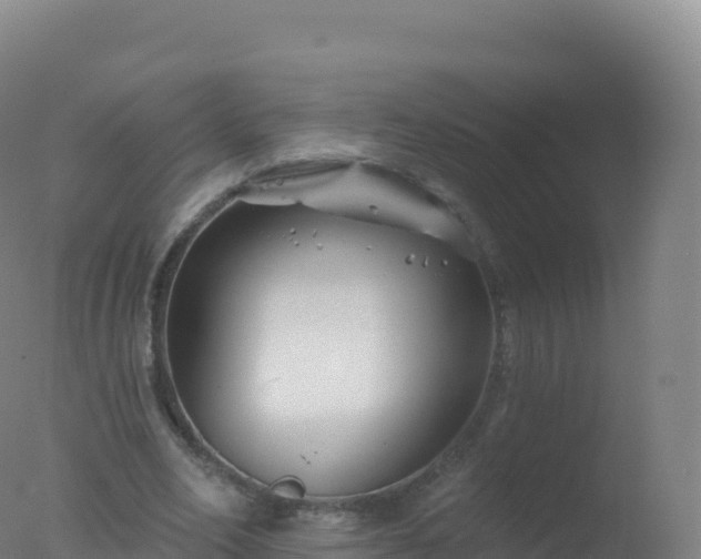 X0000077350582200610271830