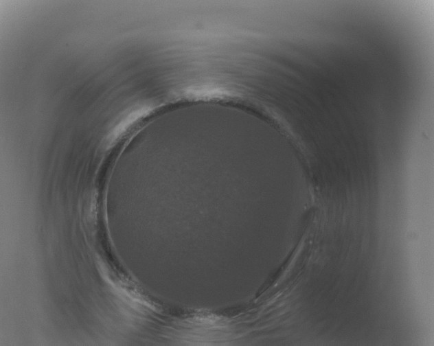 X0000077350583200610271830