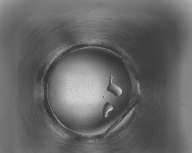 X0000077350584200610271830