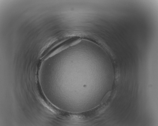 X0000077350585200610271830