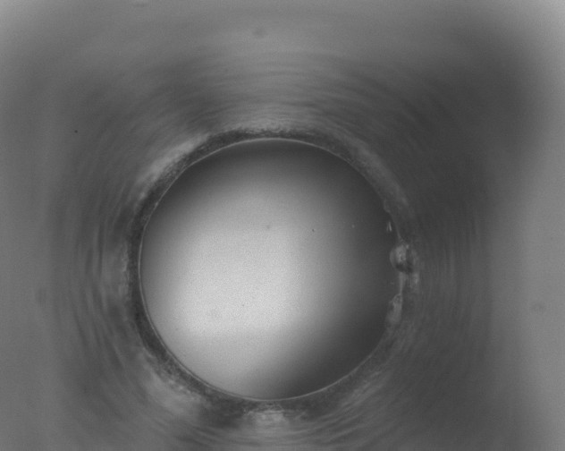 X0000077350588200610271830