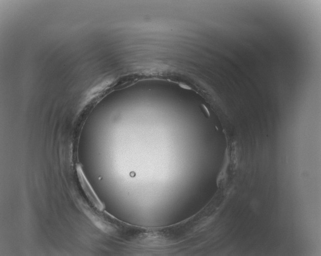 X0000077350589200610271830