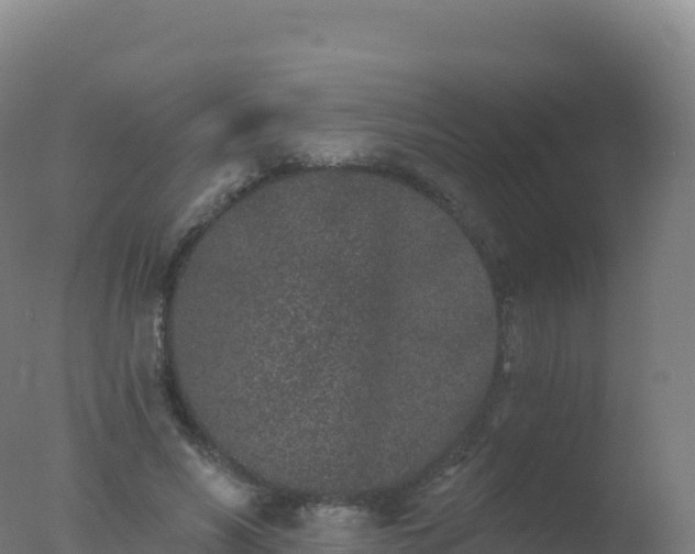 X0000077350590200610271830