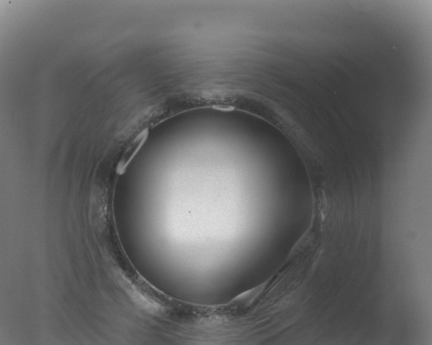 X0000077350593200610271830