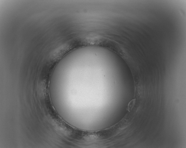 X0000077350594200610271830