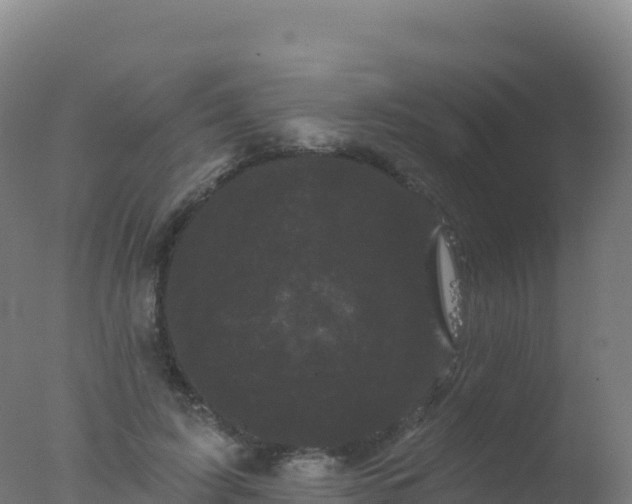 X0000077350595200610271830