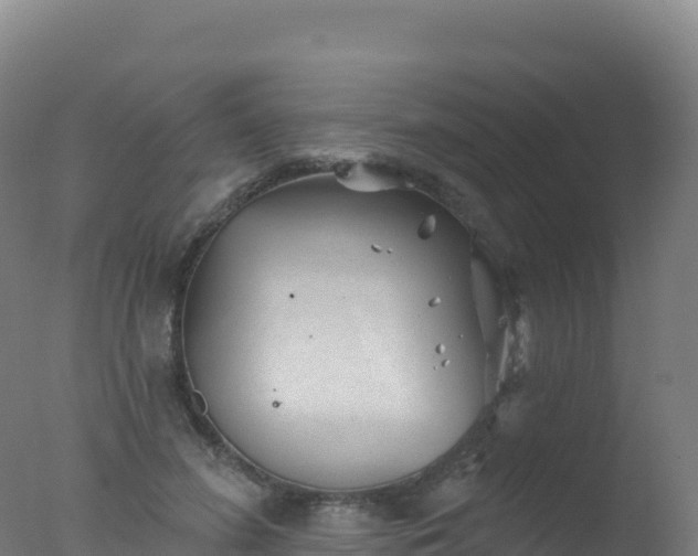 X0000077350596200610271830