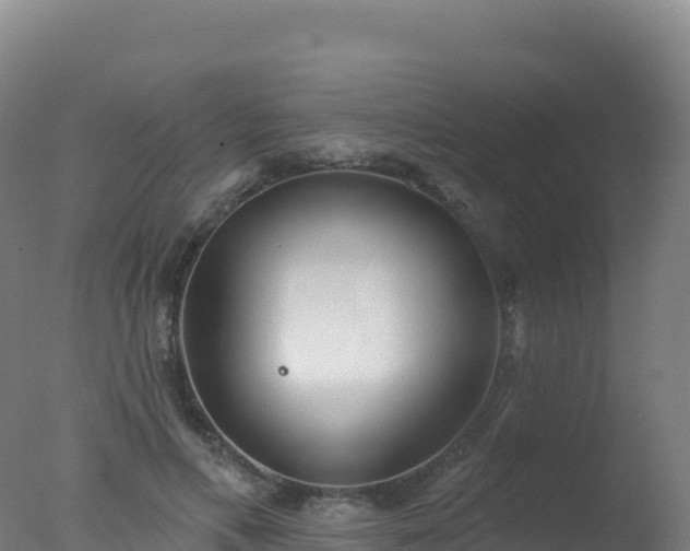 X0000077350597200610271830