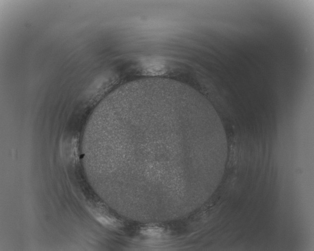 X0000077350598200610271830