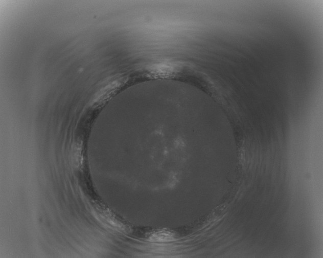 X0000077350599200610271830