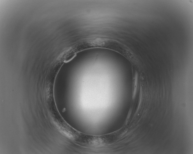 X0000077350600200610271830