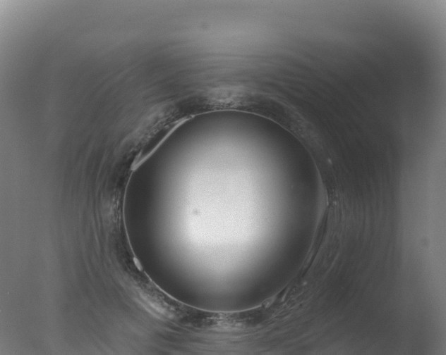 X0000077350601200610271830