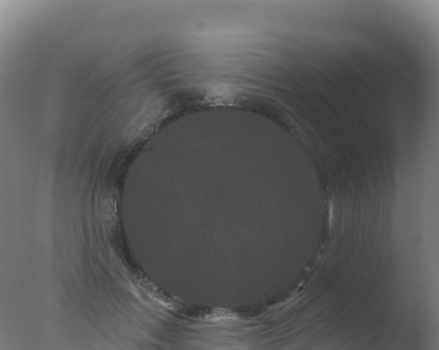 X0000077350603200610271830