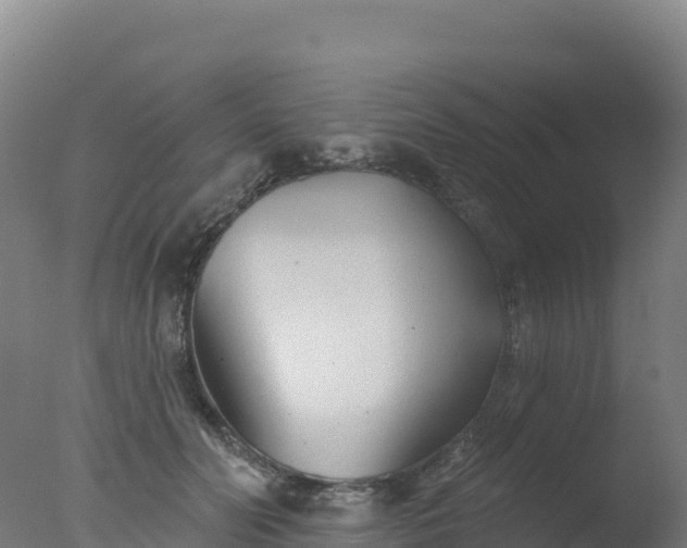 X0000077350606200610271830