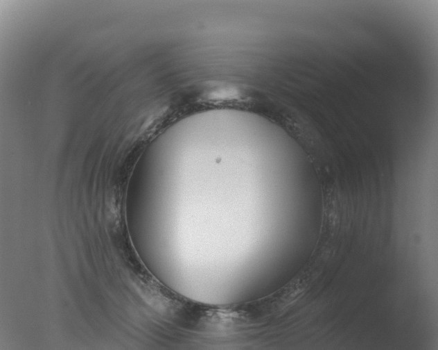 X0000077350607200610271830