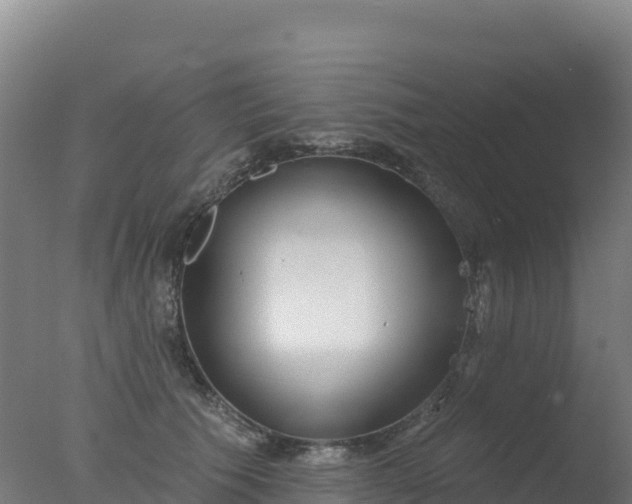 X0000077350609200610271830