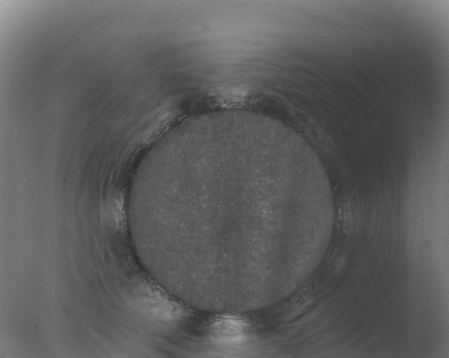 X0000077350610200610271830