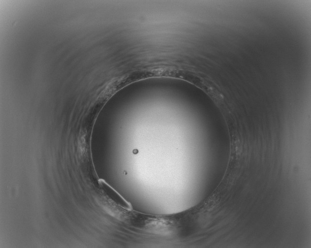 X0000077350611200610271830