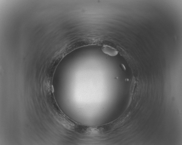 X0000077350613200610271830