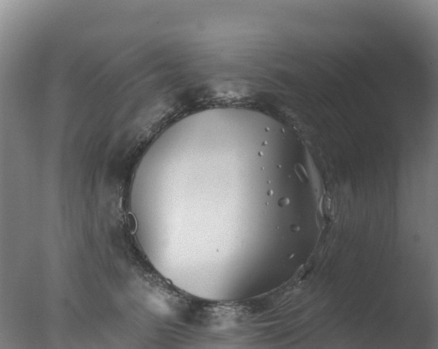 X0000077350615200610271830