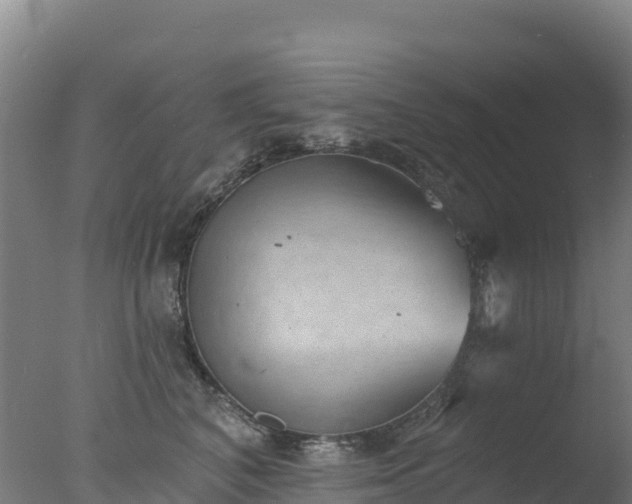 X0000077350616200610271830