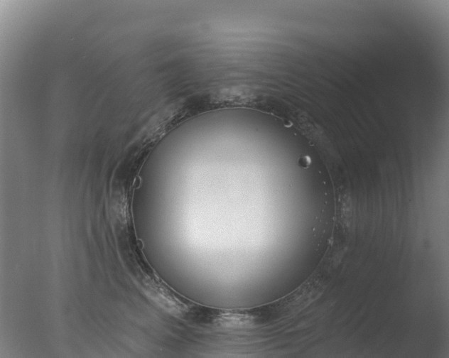 X0000077350617200610271830