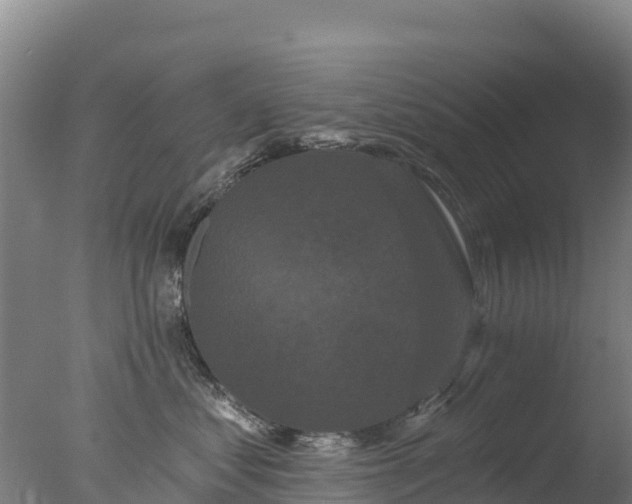 X0000077350621200610271830