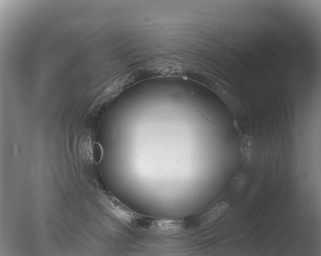 X0000077350622200610271830