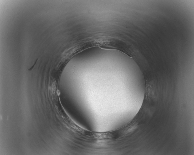 X0000077350623200610271830