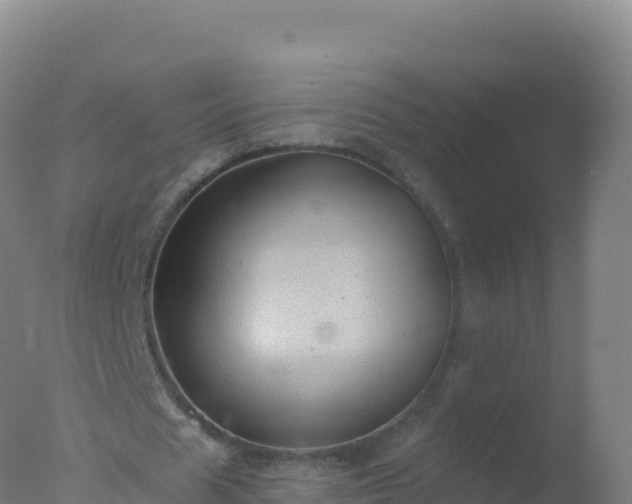 X0000077350625200610271829