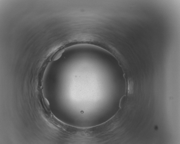 X0000077350627200610271829