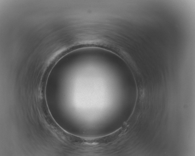 X0000077350628200610271829