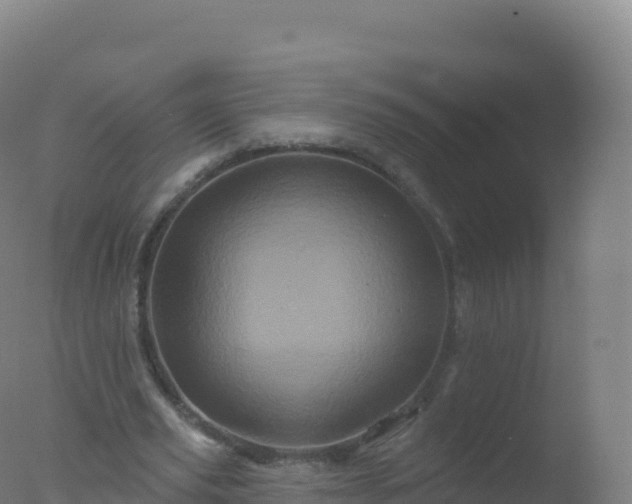 X0000077350629200610271829