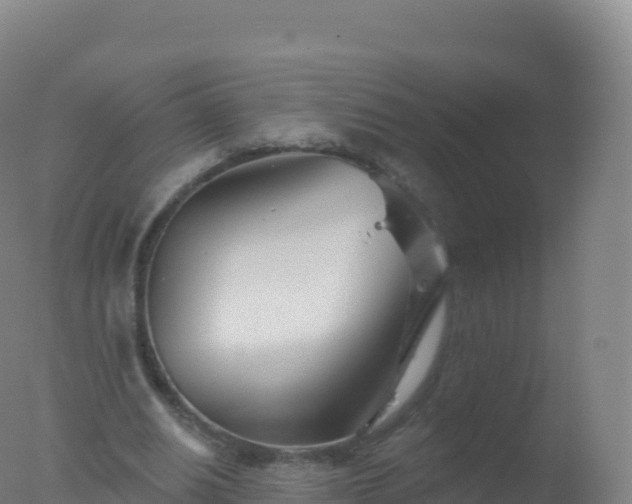 X0000077350630200610271829