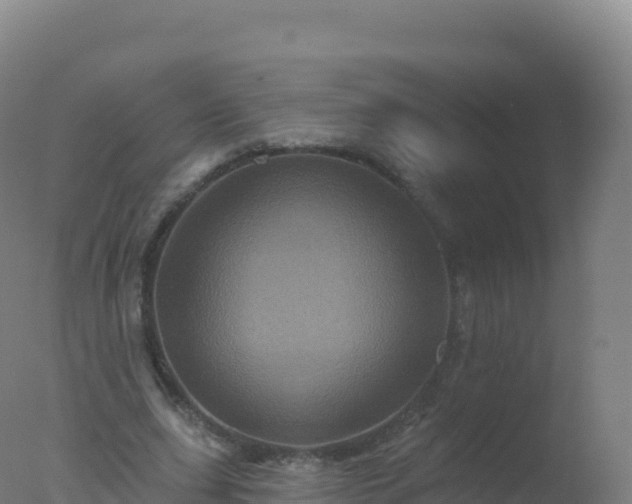 X0000077350631200610271829