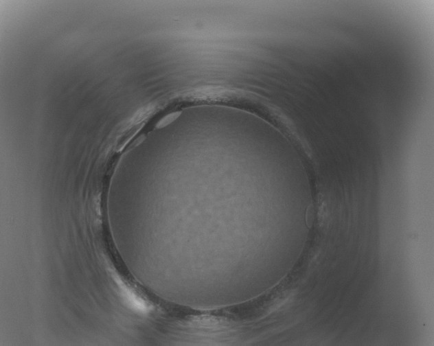 X0000077350633200610271829