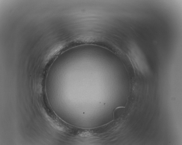 X0000077350635200610271829