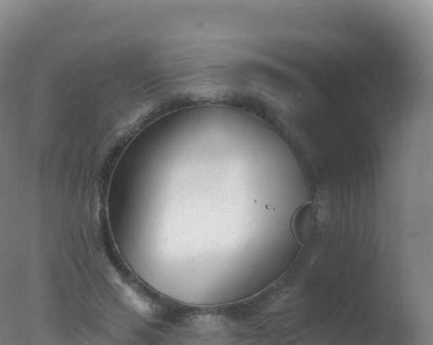 X0000077350637200610271829