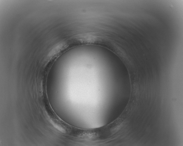 X0000077350638200610271829