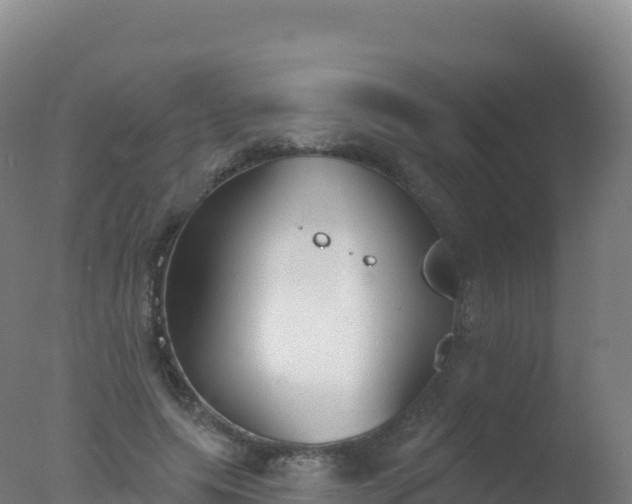 X0000077350639200610271829