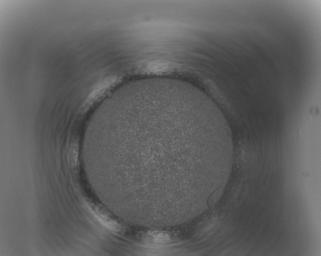 X0000077350640200610271829