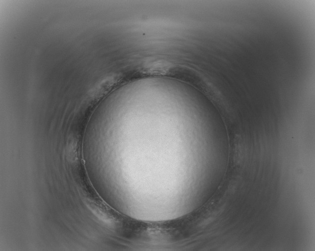 X0000077350641200610271829