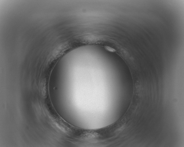 X0000077350642200610271829