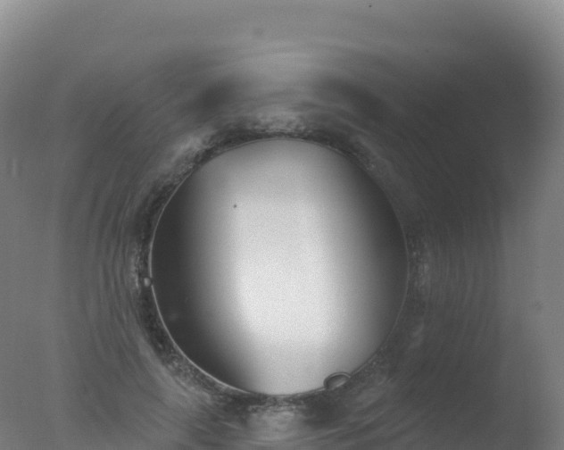 X0000077350643200610271829