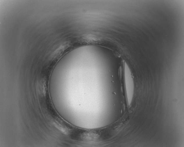 X0000077350644200610271829