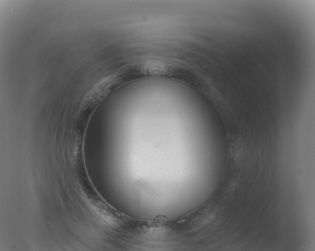 X0000077350645200610271829