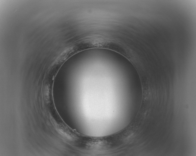 X0000077350646200610271829