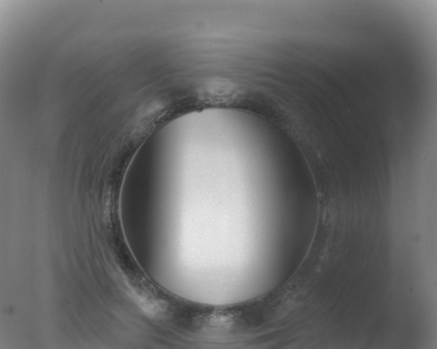 X0000077350647200610271829